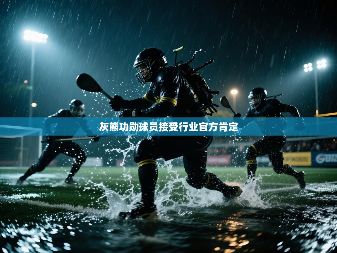 灰熊功勋球员接受行业官方肯定  第1张