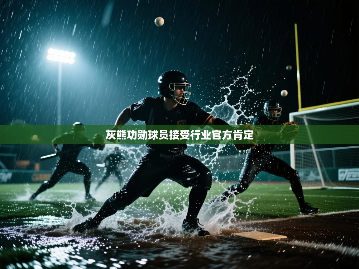 灰熊功勋球员接受行业官方肯定  第2张